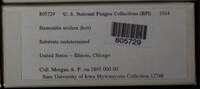 Image Associated With the Occurence